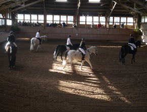 Quadrille